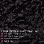Extensiones de cabello humano rizado birmano
